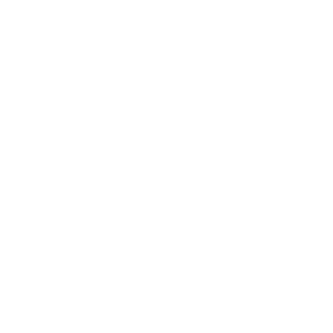 Blitzino 500x500_white